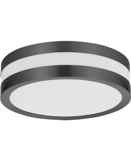 RABALUX STUTTGART Ø28,5 ANT ULKOPLAFONDI Main Image