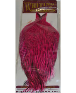 WHITING CDL CAPE BAD DY PINK KUKONNISKA Main Image