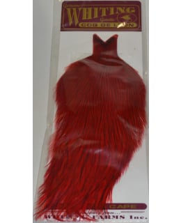 WHITING CDL CAPE BAD DY RED KUKONNISKA Main Image