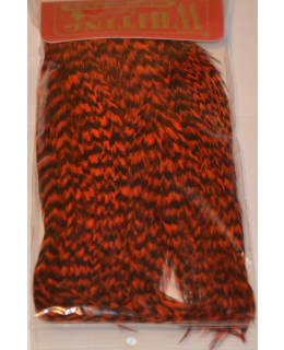 WHITING BUGGER PACK GRIZ D ORANGE NISKA Main Image