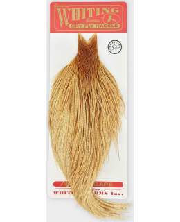 AMERICAN ROOSTER CAPE GRIZZLY Main Image