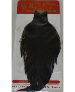 WHITING HEN CAPE BLACK KANANNISKA Main Image