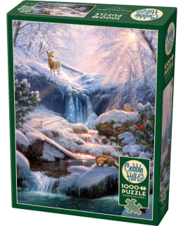 COBBLE HILL MYSTIC FALLS IN WINTER 1000P Main Image