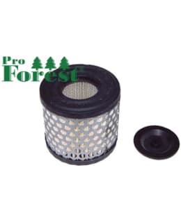 PRO FOREST 71-038 ILMANSUODATIN BRIGGS Main Image