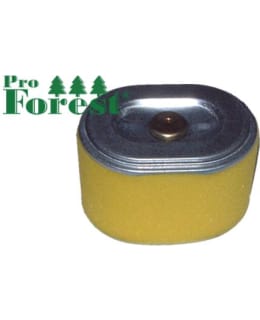 PRO FOREST HONDA GX ILMANSUODATIN Main Image