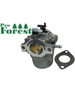 PRO FOREST 76-655 KAASUTIN B&S Main Image