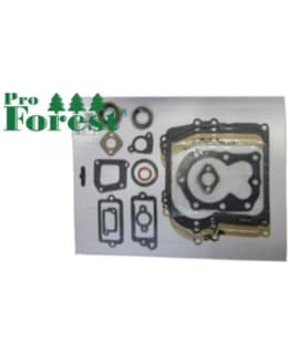 PRO FOREST B&S 590777 TIIVISTESARJA Main Image