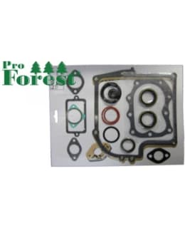 PRO FOREST B&S 299577 TIIVISTESARJA Main Image