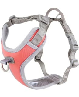 HURTTA VENTURE NO-PULL HARN 45-60 CORAL Main Image
