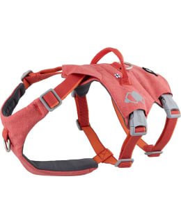HURTTA ECO45-60 STRAWB. SGUARD HARNESS Main Image