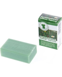 SODASAN 100 G SAPPISAIPPUA Main Image