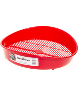 MARJUKKA MARJANPUHDISTAJA KAATOREUNOILLA Main Image