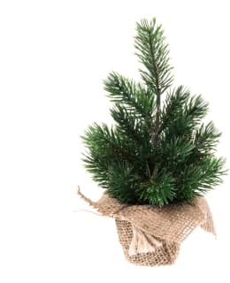 WINTERIA MINIKUUSI JUUTTIRUUKUSSA 22 CM Main Image