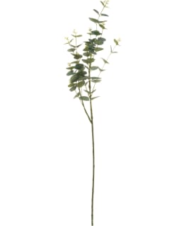 LIVING 302492 92CM EUKALYPTUS Main Image