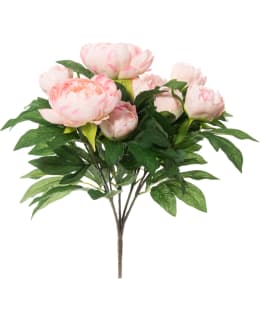 4LIVING 302711 50CM ROOSA PIONIKIMPPU Main Image