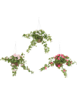 4LGARDEN PELARGONIA AMPPELI SILKKIKUKKA Main Image