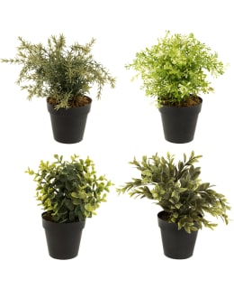 4LIVING VIHERKASVI SILKKIKUKKA Main Image