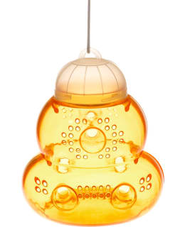 ANTIBIT AMPIAISANSA Main Image