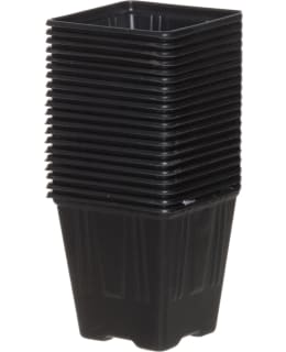 4LIVING TAIMIRUUKKU 7,5 CM 20 KPL Main Image