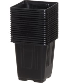 4LIVING TAIMIRUUKKU 9 CM 18 KPL Main Image