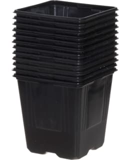 4LIVING TAIMIRUUKKU 11 CM 12 KPL Main Image