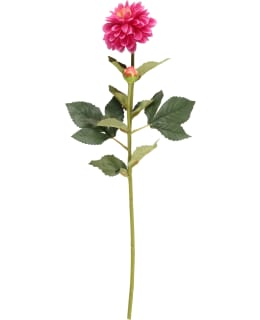 4LIVING 328790 FUKSIA 60CM FUKSIA DAALIA Main Image