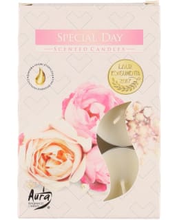 AURA 334978 6KPL SPECIA DAY TUOKSUKYNT Main Image