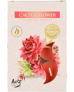 LIVING 334979 6KPL CACTU FLOW TUOKSUKYNT Main Image