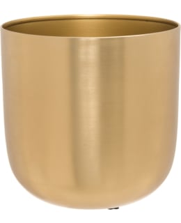 4LIVING GOLDIE 18CM SUOJARUUKKU Main Image