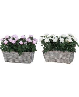 4LIVING RUUSU PAJURKU 36CM SILKKIKUKKA Main Image