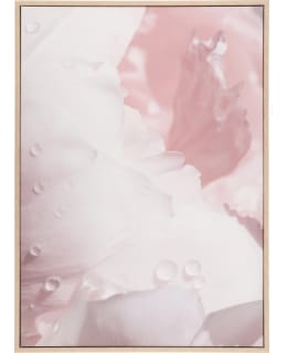 4LIVING 611907 PIONI 50X70CM TAULU Main Image