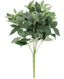 4LIVING 612002 VIHERKIMPPU Main Image