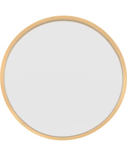 4LIVING 612012 ROBUR 40CM SEINÄPEILI Main Image