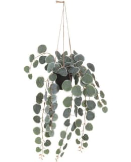 4LIVING HERTTALYHTY AMPPELI 40 CM Main Image