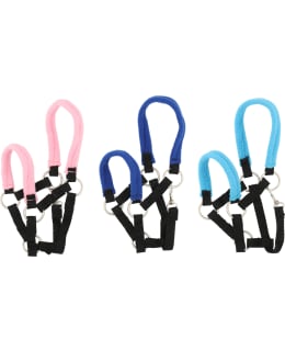 KEPPIHEVOSEN RIIMU Main Image