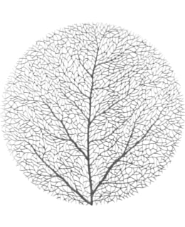 4LIVING 618541 TREE 38 CM HOPEA TABLETTI Main Image