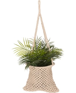 4LIVING AMPPELI KASSI PUUVILLAA Main Image