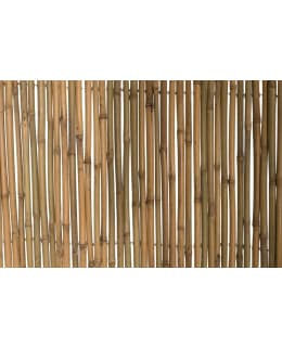 4LIVING BAMBUAITA 2X3M Main Image