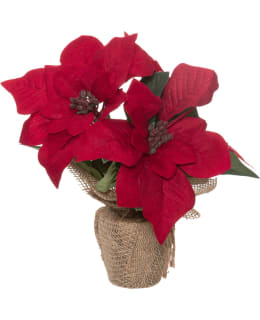 WINTERIA JOULUTÄHTI 3-KUKAN 23CM Main Image