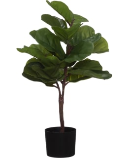 4LIVING LYYRAVIIKUNA RUUKUSSA 80 CM Main Image