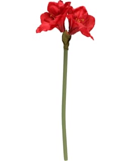 WINTERIA AMARYLLIS OKSA PUNAINEN 66 CM Main Image