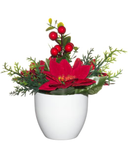 WINTERIA JOULUTÄHTIASETELMA RUUKUSSA Main Image