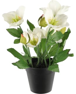 WINTERIA JOULURUUSU RUUKUSSA 26 CM Main Image