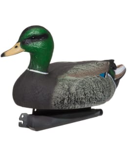 ATOM HEINÄSORSA UROS KOUKUTUSKUVA Main Image