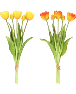 4LIVING 39CM TULPPAANI KIMPPU LAJITELM Main Image