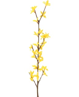 4LIVING KEVÄTPENSAS OKSA 74 CM Main Image