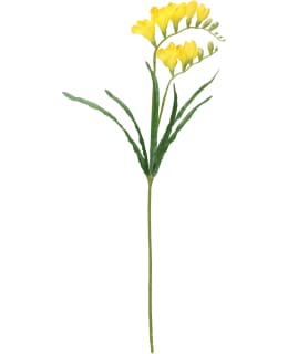 4LIVING KELTAINEN 57CM FREESIA OKSA Main Image