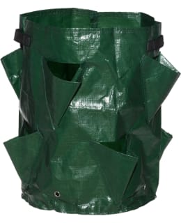 Tarmo Mansikoiden Kasvatuspussi PE Main Image