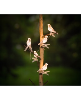 TARMO SOLAR VALOKETJU BIRDS 5 KPL Main Image