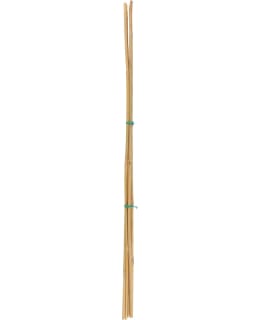 TARMO KASVITUKI BAMBU 90 CM 5 KPL Main Image